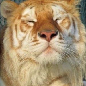 Meet your Posher, Kenzie